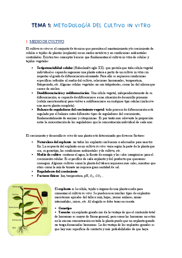 Miniatura del documento TEMA-1.pdf