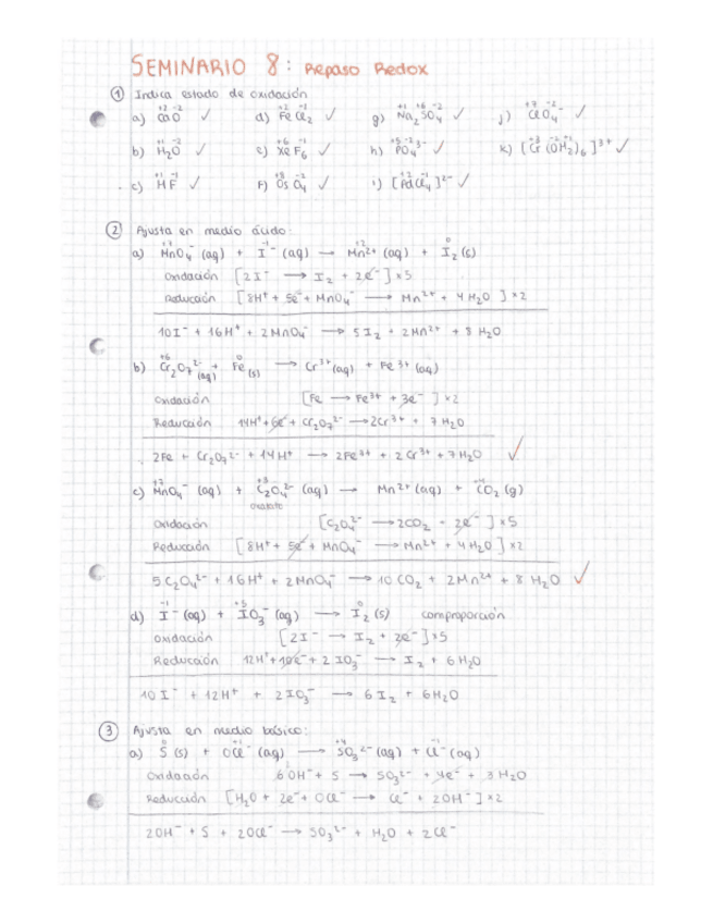 Miniatura del documento Seminarios-corregidos-parte-2.pdf
