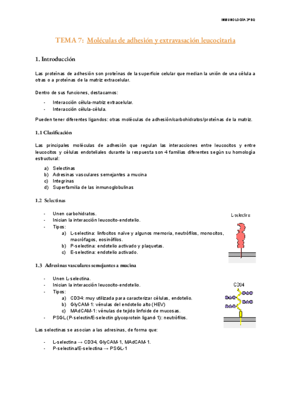Miniatura del documento TEMA-7-Inmunologia.pdf