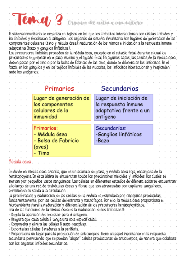 Miniatura del documento Tema-3-Organos-del-sistema-inmunitario.pdf