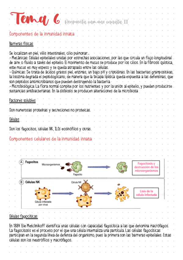 Miniatura del documento Tema-6-Respuesta-inmune-innata-II.pdf