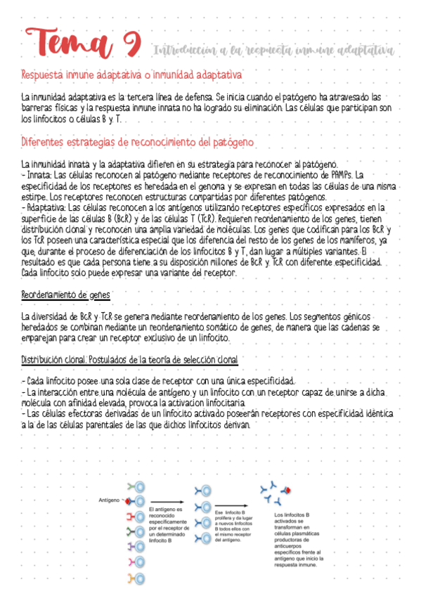 Miniatura del documento Tema-9-Introduccion-a-la-respuesta-inmune-adaptativa.pdf
