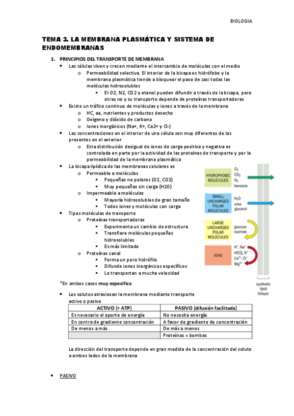 Miniatura del documento Tema-3-La-membrana-plasmatica-y-sistema-de-endomembranas.pdf
