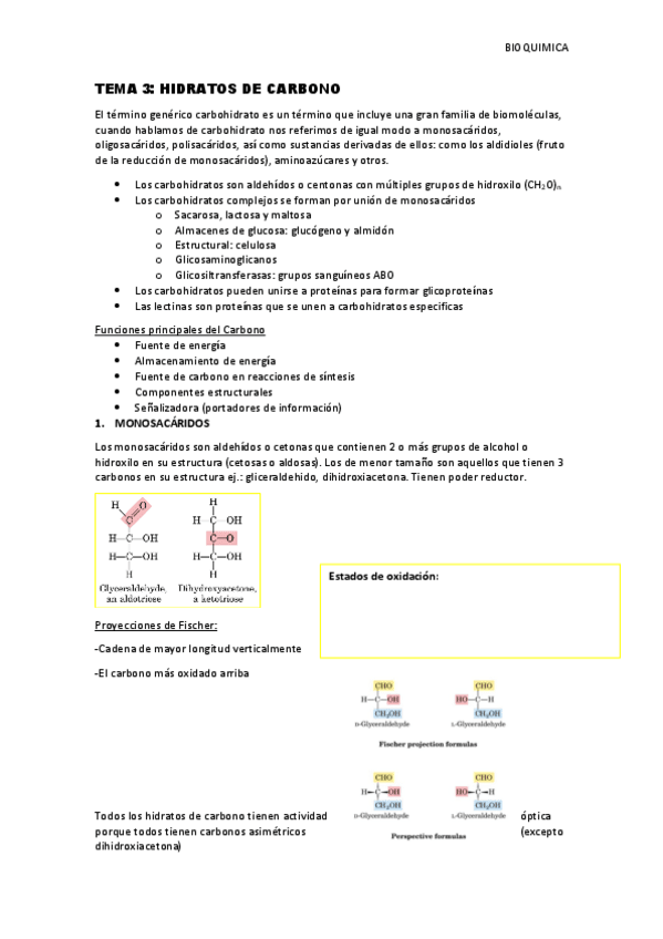 Miniatura del documento Tema-3-Hidratos-de-Carbono.pdf