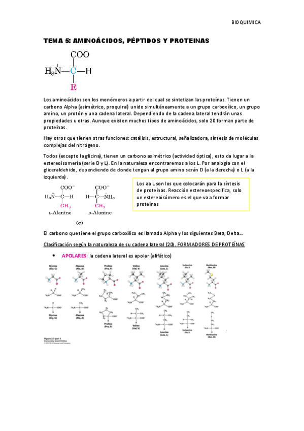 Miniatura del documento Tema-5-proteinas.pdf