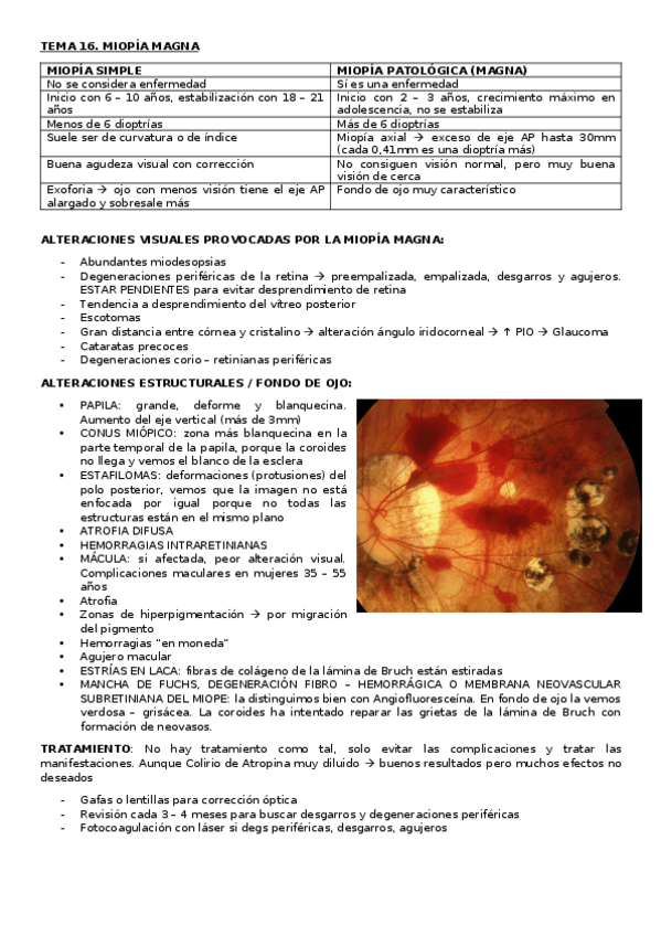 Miniatura del documento MIOPIA-MAGNA.docx