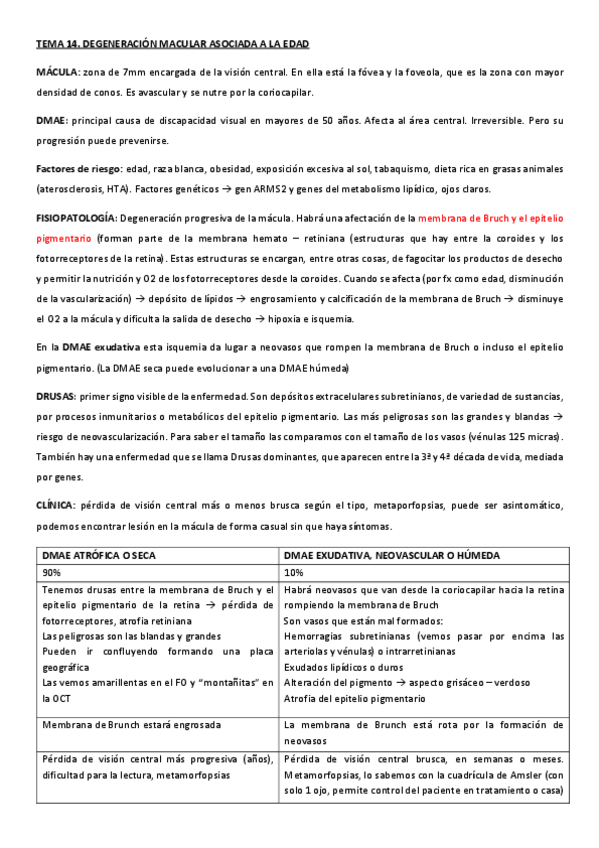 Miniatura del documento DMAE.pdf
