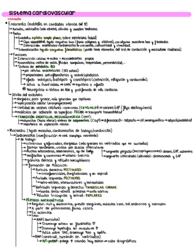 Miniatura del documento Resumenes-primer-parcial-organo.pdf