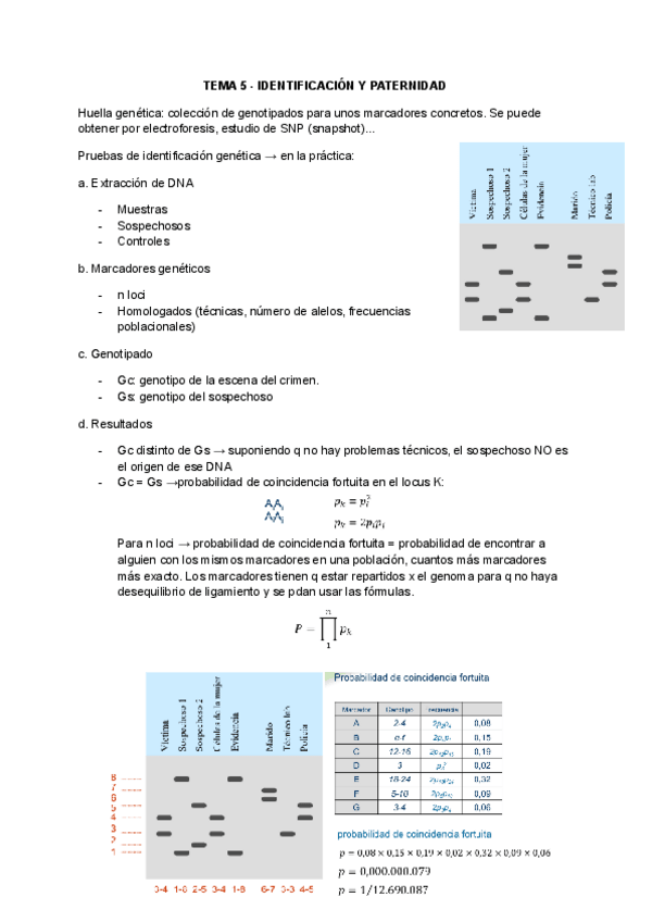 Miniatura del documento TEMA-5-IDENTIFICACION-Y-PATERNIDAD.pdf