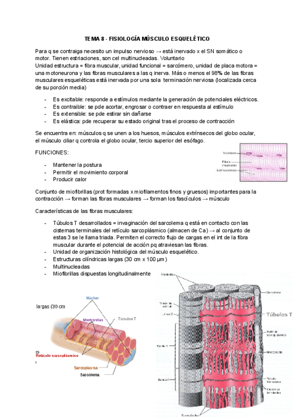 Miniatura del documento Tema-8-Fisiologia.pdf