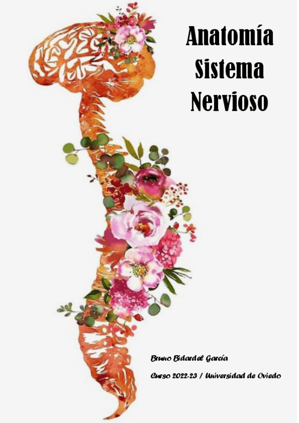 Miniatura del documento Apuntes-Anatomia-Nervioso-2022-23 PARTE 1 (PRIMER PARCIAL).pdf