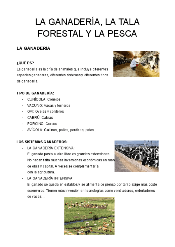 Miniatura del documento Sociales-tercero-ESO.pdf