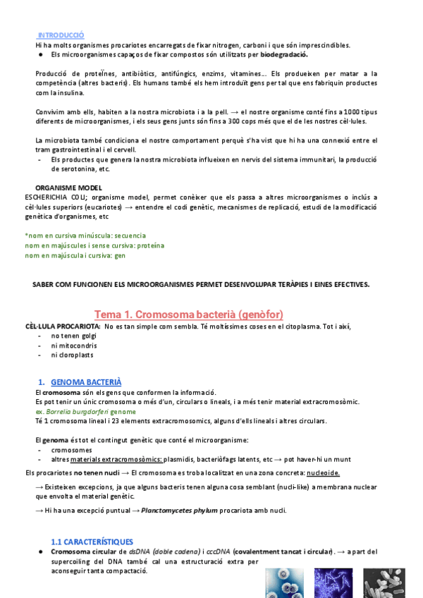 Miniatura del documento T.1-Cromosoma-bacteria.docx.pdf