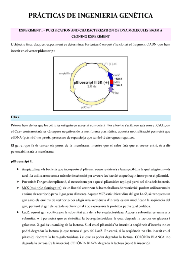 Miniatura del documento RESUM-PRACTIQUES-EG.pdf