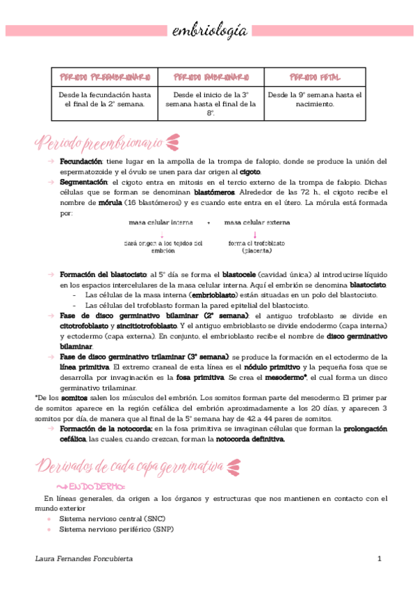 Miniatura del documento Apuntes anatomía.pdf