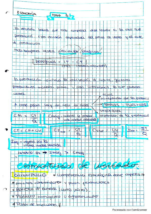 Miniatura del documento Tema-3.pdf