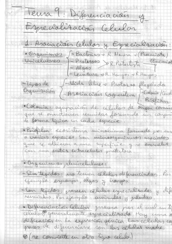 Miniatura del documento DIFERENCIACION-Y-ESPECIALIZACION-CELULAR.pdf