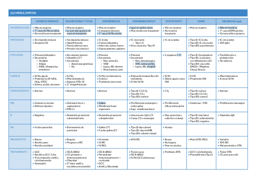 Miniatura del documento Glomerulopatias.pdf