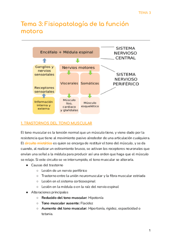 Miniatura del documento Tema-3-Fisiopatologia-de-la-funcion-motora.pdf