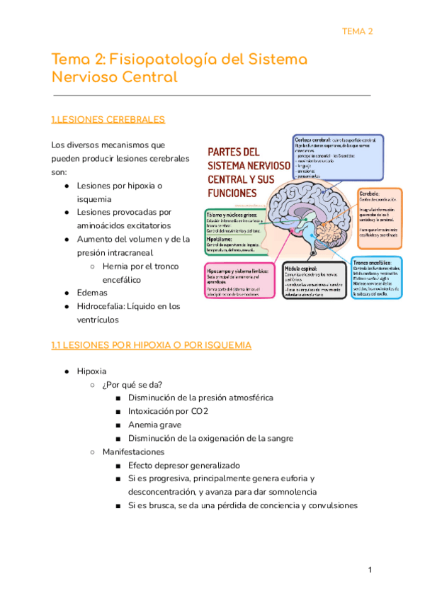 Miniatura del documento Tema-2-Fisiopatologia-del-Sistema-Nervioso-Central.pdf