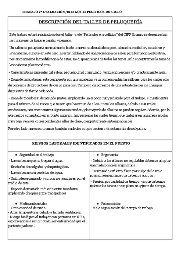 Miniatura del documento Trabajo-1a-evaluacionRiesgos-especificos-Talleres-ciclos-.docx.pdf