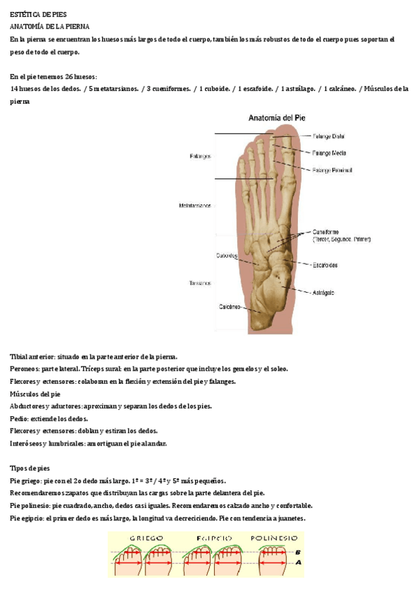 Miniatura del documento Apuntes-estetica.pdf