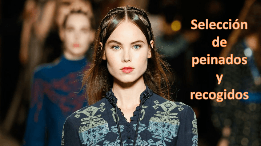 Miniatura del documento Seleccion-de-peinados-y-recogidos.pdf