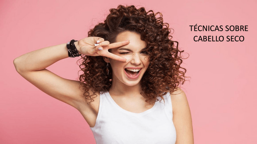 Miniatura del documento Tecnicas-en-seco.pdf