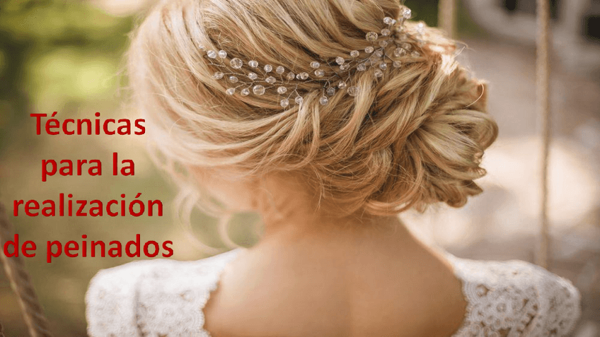 Miniatura del documento Tecnicas-para-la-realizacion-de-peinados.pdf