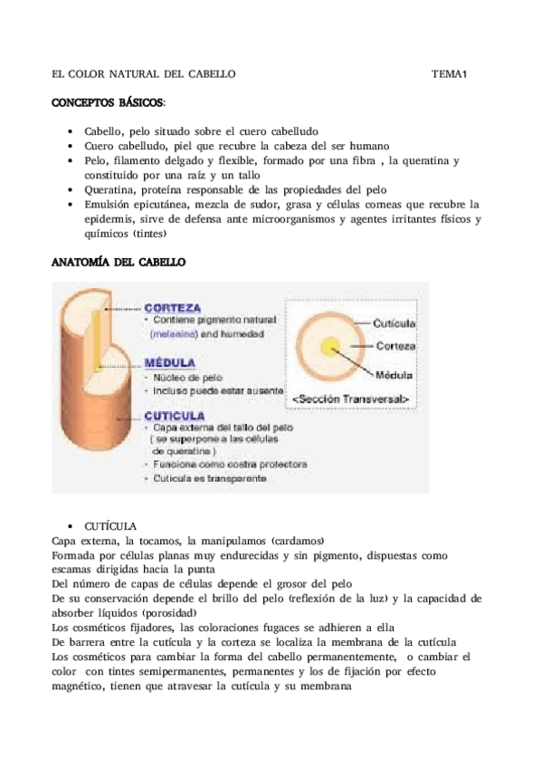 Miniatura del documento 1.-Cor-natural-do-cabelo.pdf