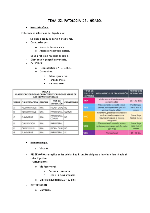 Miniatura del documento Apuntes 22 Adulto II.pdf
