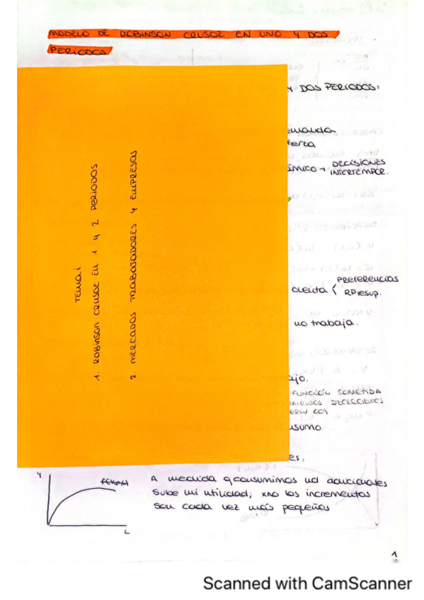 Miniatura del documento Macro-Dinamica-tema-1.pdf