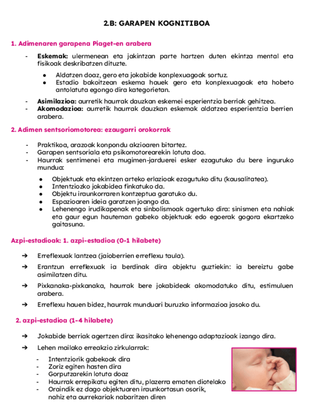 Miniatura del documento 2.-B-Gaia-Garapen-kognitiboa.pdf