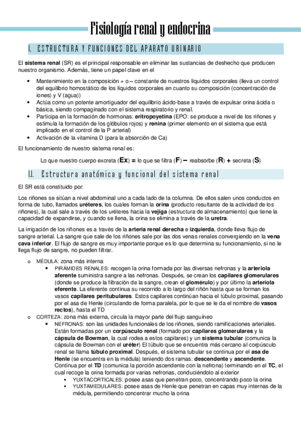 Miniatura del documento Parcial-3Fisiologia-renal-y-endocrina.pdf
