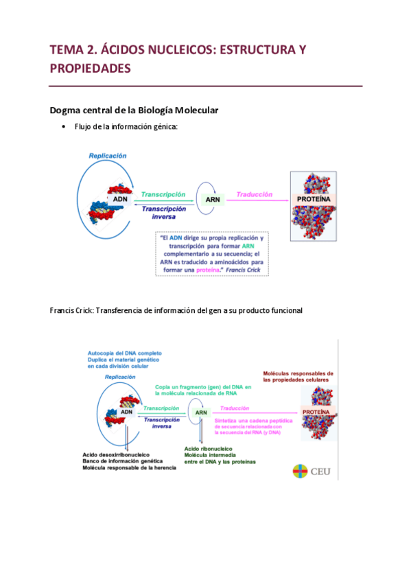 Miniatura del documento apuntes-bioquimica-PRIMER-PARCIAL.pdf