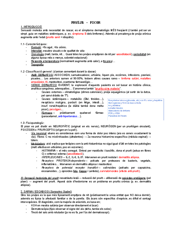 Miniatura del documento Resum-pruija-T3.pdf