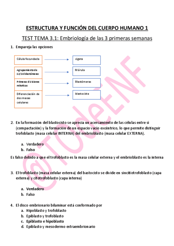 Miniatura del documento TEST-EMBRIOLOGIA-3.1.pdf