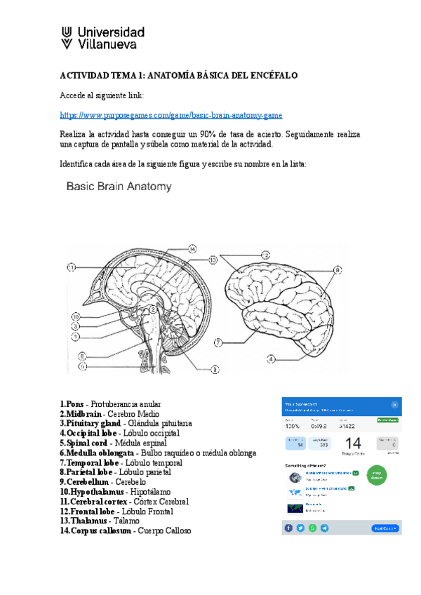 Miniatura del documento Actividad-Tema-1.docx.pdf