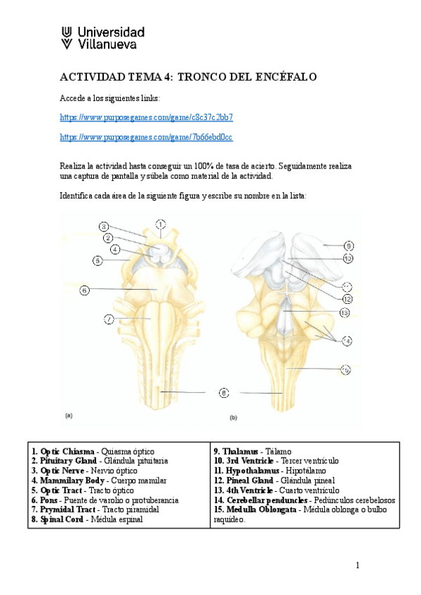 Miniatura del documento Actividad-Tema-4-Tronco-del-encefalo-Marta-Sanchez-Arias.docx.pdf
