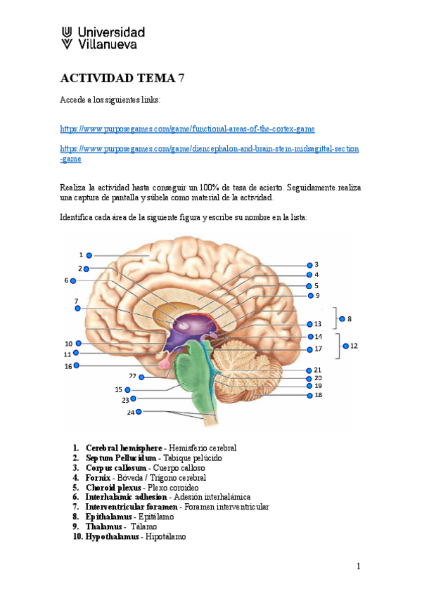 Miniatura del documento Actividad-Tema-7.docx.pdf