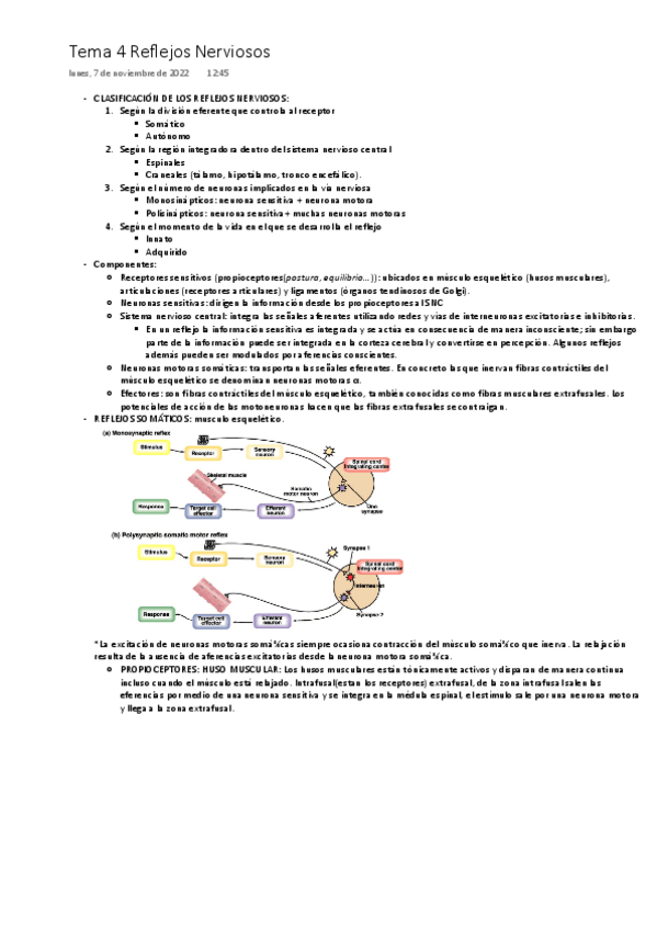 Miniatura del documento Tema-4-SN-V-ONE-DRIVE.pdf