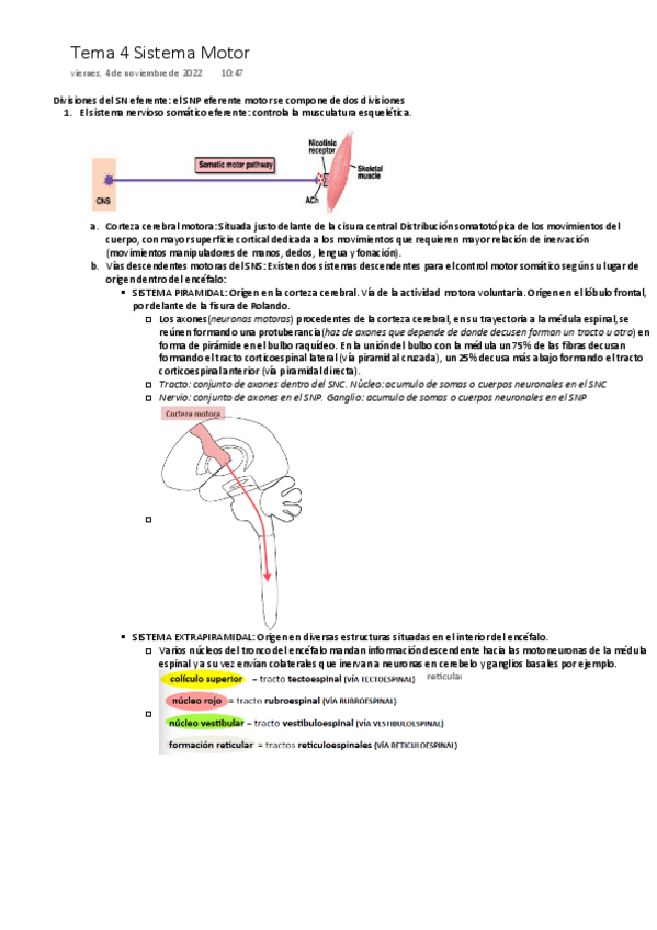 Miniatura del documento Tema-4-SN-IV-ONE-DRIVE.pdf