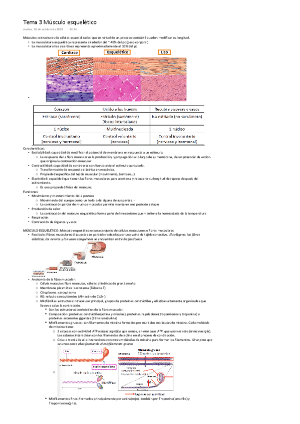 Miniatura del documento Tema-3-Fisiologia-del-musculo-III.-Musculo-esqueletico-ONE-DRIVE.pdf