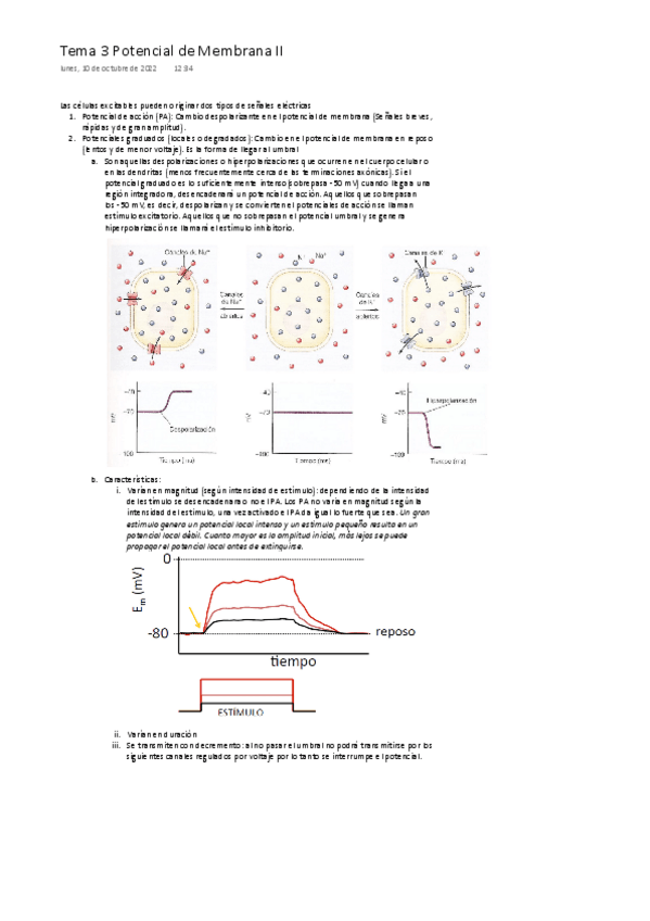 Miniatura del documento Tema-3-Fisiologia-del-musculo.-Potenciales-de-membrana-II-ONE-DRIVE.pdf