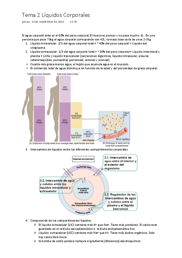 Miniatura del documento Tema-2-Liquidos-corporales-ONE-DRIVE.pdf