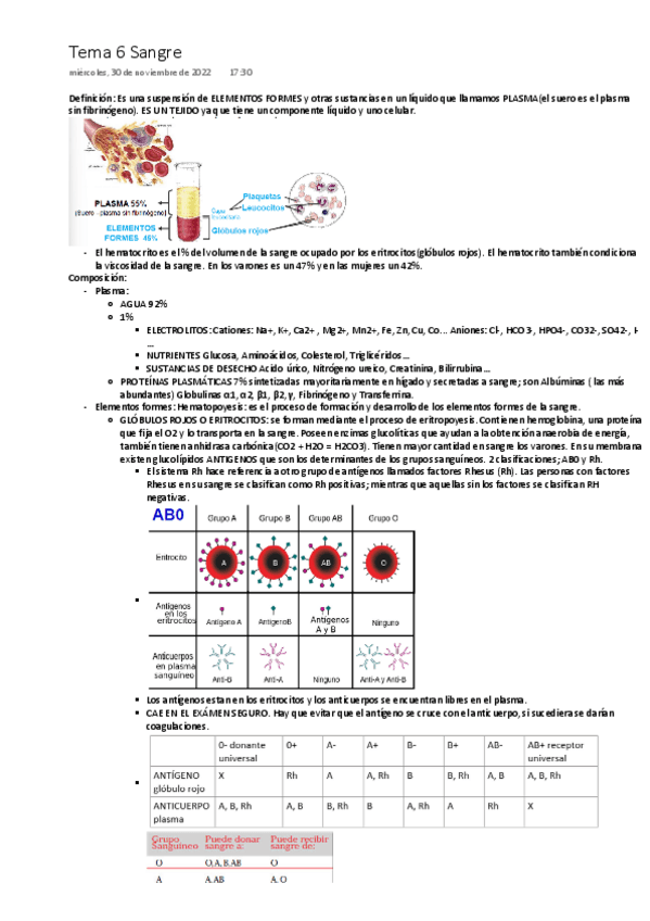 Miniatura del documento Tema-6-Sangre-ONE-DRIVE.pdf