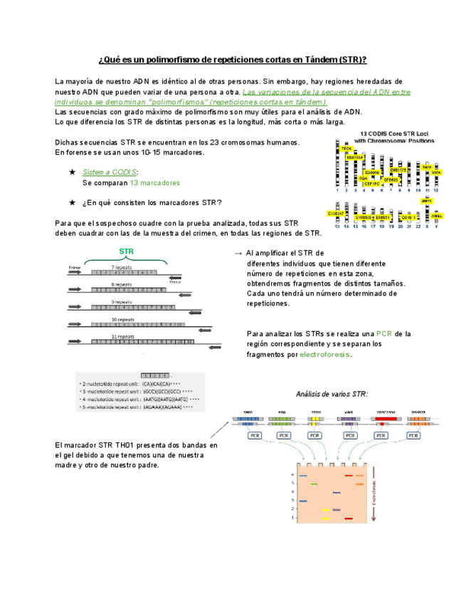 Miniatura del documento Conceptos-complejos-T.4.pdf