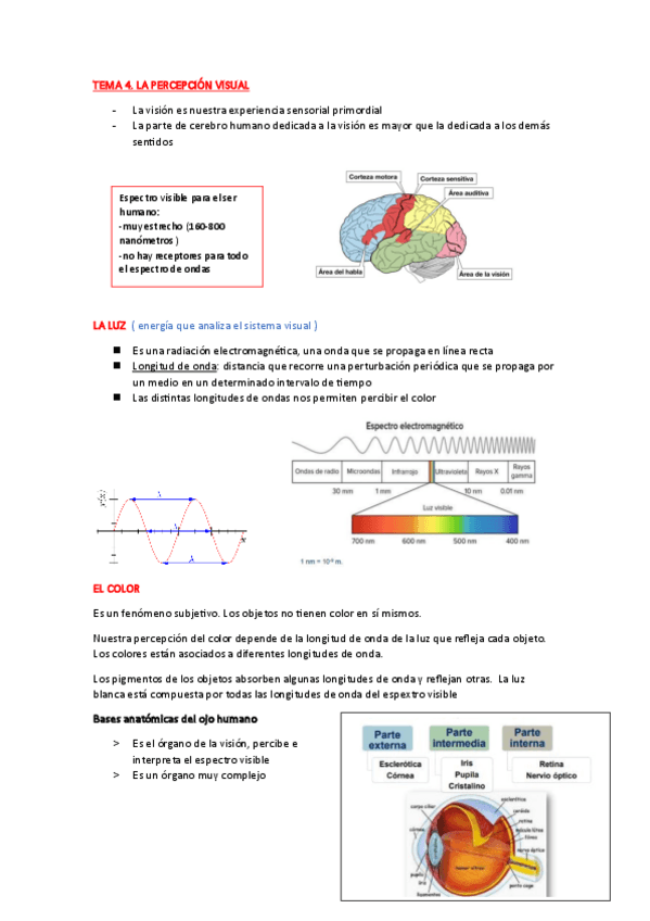 Miniatura del documento TEMA-4.-La-vision.pdf