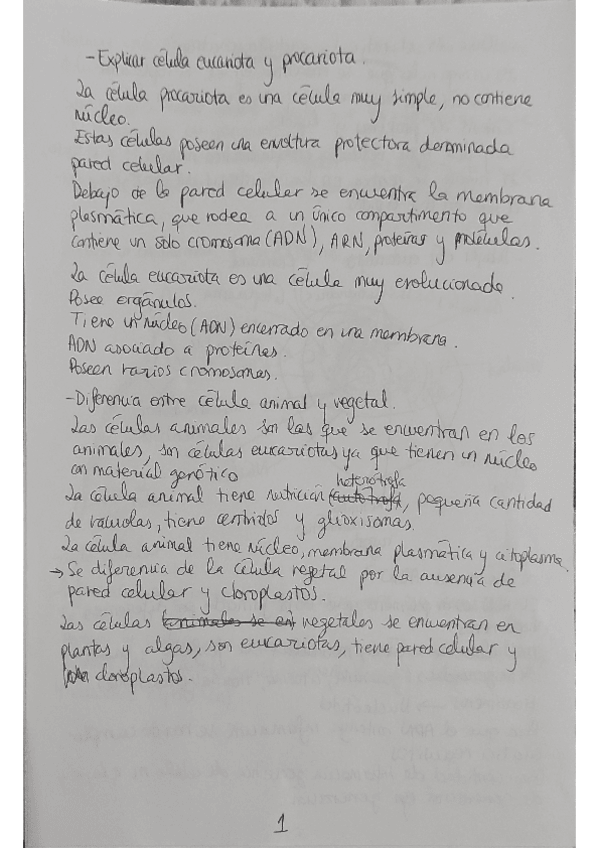 Miniatura del documento Posibles-preguntas-de-examen.pdf