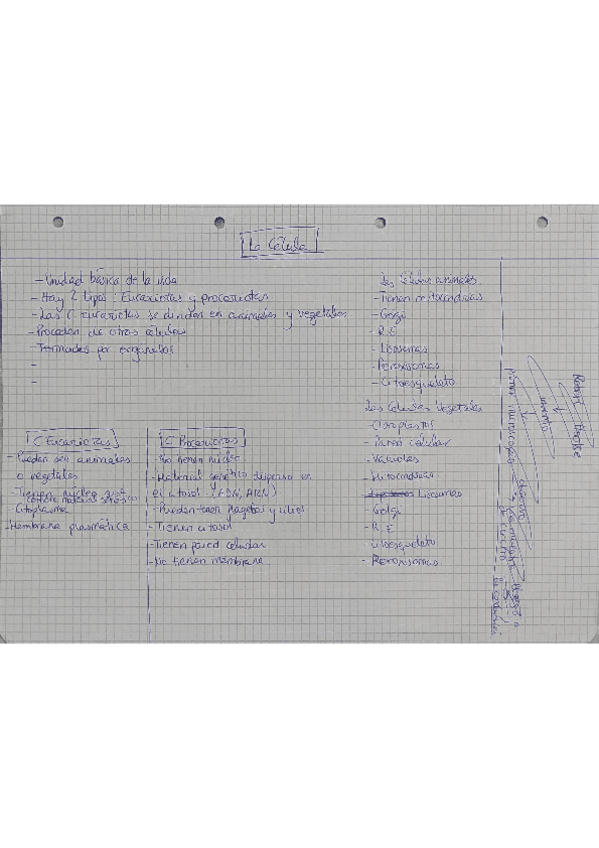 Miniatura del documento Esquema-la-celula.pdf
